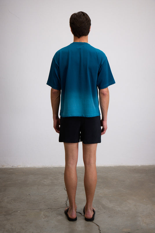 SUN DOWN VICE SHORTS